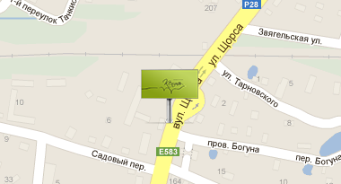  ул. Щорса 203 (въезд с Коростеня)